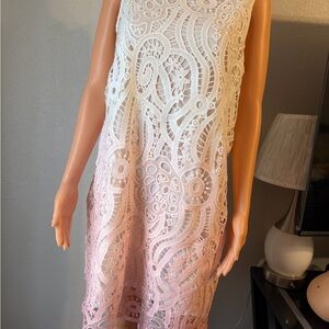 Elegant Lace Sleeveless Dress